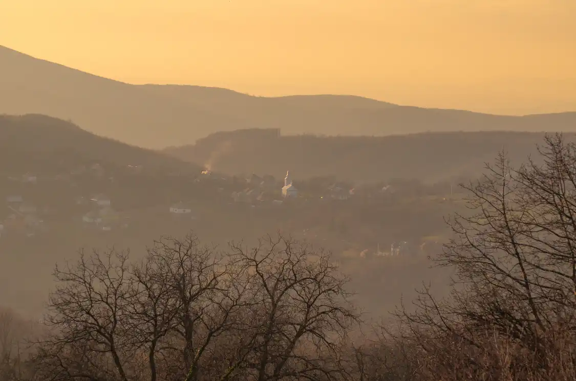 민주지산자연휴양림 주변 호텔