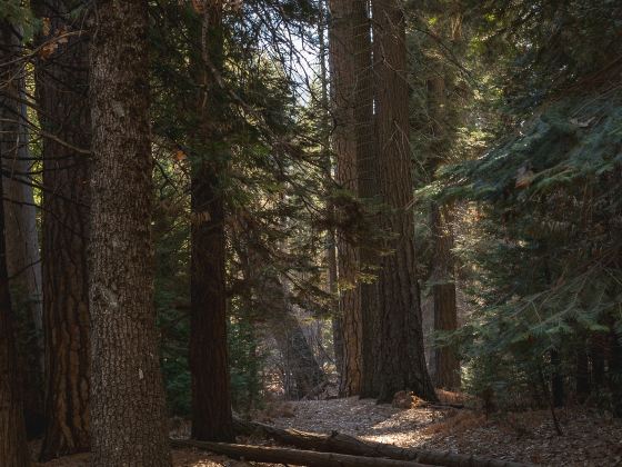 Limekiln State Park