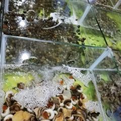 挑螺吧 여행 사진
