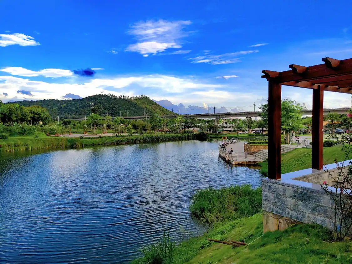 Hotels near Luotian Forest Park