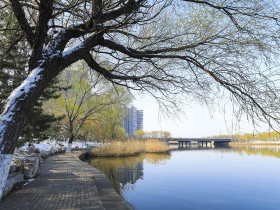 Liuxianhu Park