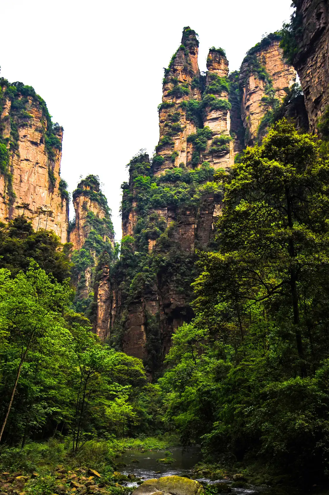 천리 서로 만나다 주변 호텔