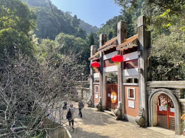 【瀑布健行】盤點六大香港瀑布 梧桐寨瀑布 瀑布灣公園 新娘潭瀑布 夏日消暑透心涼