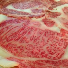 Matsusaka User Photo