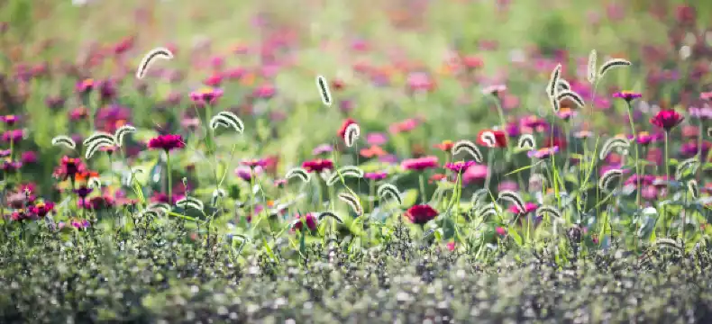 내소사 주변 호텔