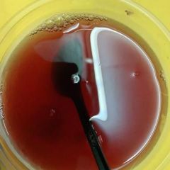 落香河岸酒家 User Photo