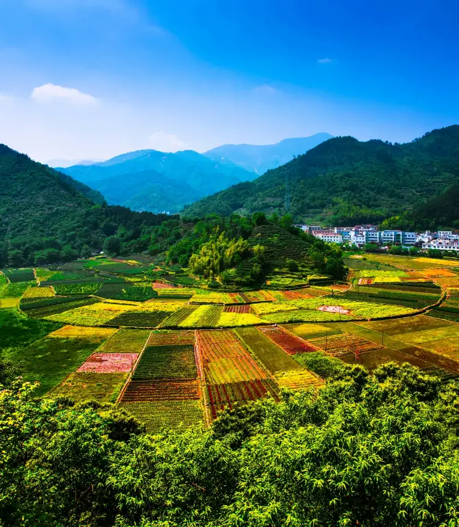 Tongcheng