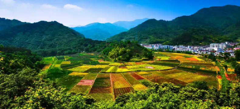 Hotels in Tongcheng