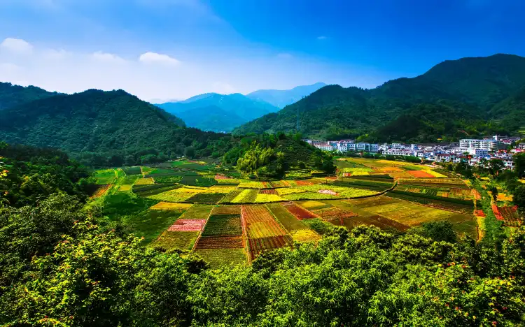 huayijingxuan properties in Tongcheng