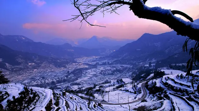 Terraced Fields Viewing in Wuyuan
