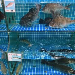金潮饭店(普陀山店) User Photo