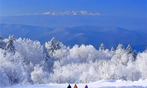 Snow Ridge, Changbai Mountain