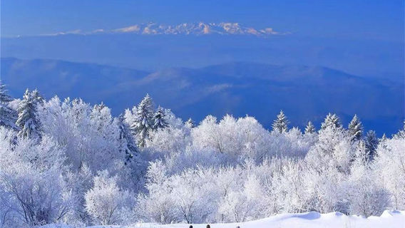 Snow Ridge, Changbai Mountain