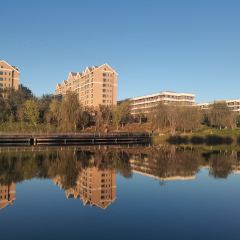 微山湖鱼馆(霸州店) User Photo