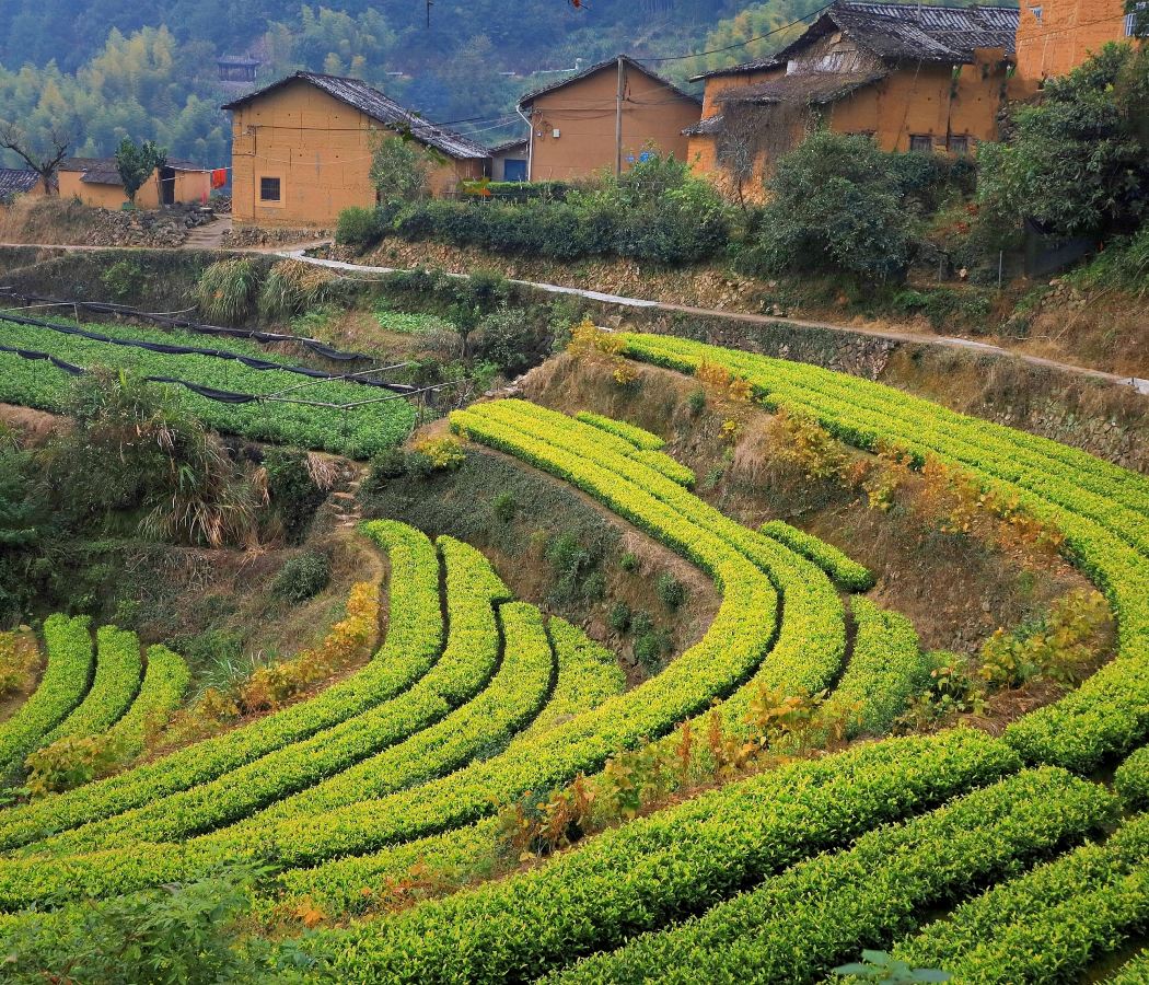 Yangjiatang Village/Youtian Village