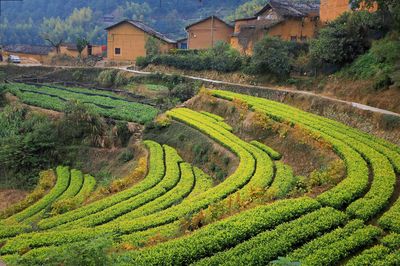 Youtian Village