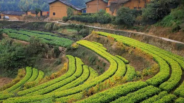 Youtian Village