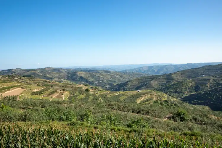 Ketjun huayijiudian majoituspaikat kohteessa Jingning County