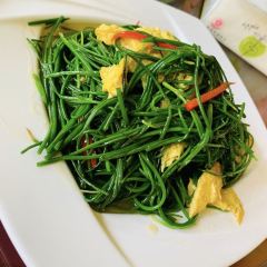悠悠乐农家 User Photo
