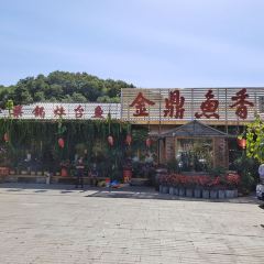 金鼎鱼香生态渔村 User Photo