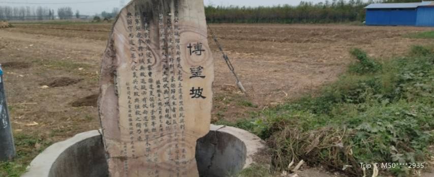 Bowangpo Ruins