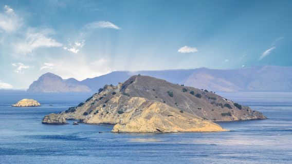 Komodo