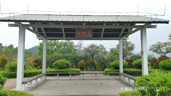 Jintai Mountain Forest Park