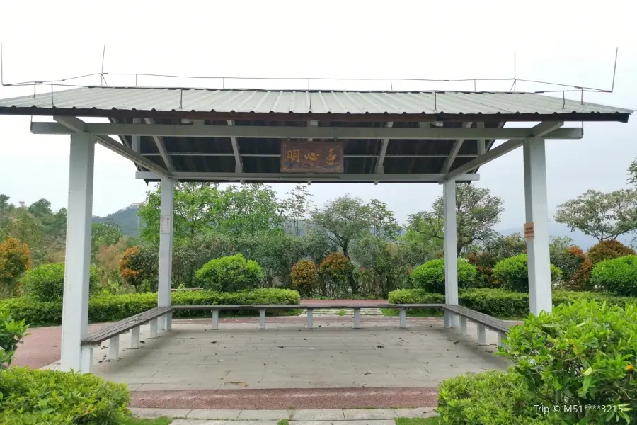 Jintai Mountain Forest Park