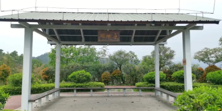 金台山森林公園