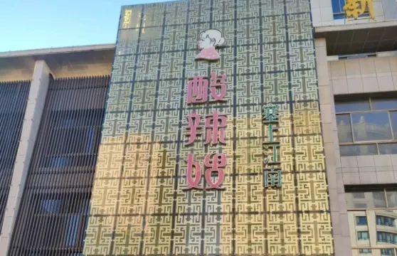 酸辣嫂大酒店（塞上江南店）
