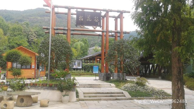 Wangjia Village