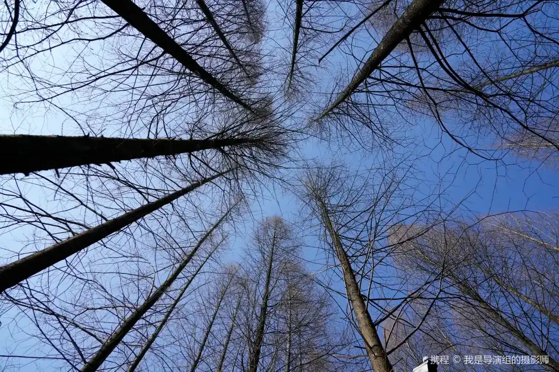 Hotels near Zhujiawan Forest Park Scenic Area