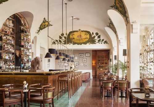 Elephant Bar
