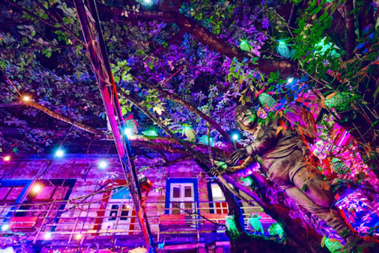 Instant-Fogas Complex