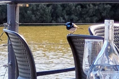 The Watershed Function Centre & Cafe