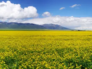 Baili Rapeseed Flower Scenic Area - Viewing Platform