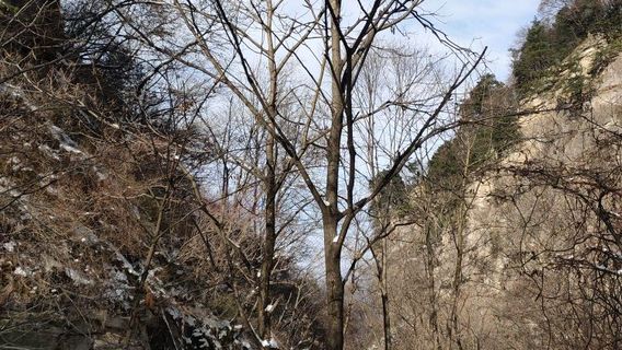 Stone City Scenic Area