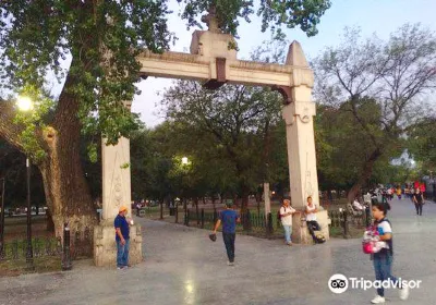 Alameda Monterrey
