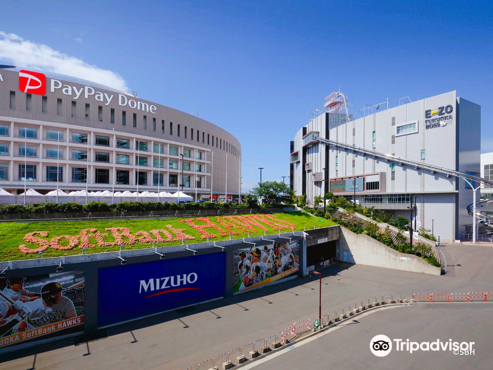 福岡 福岡市 チームラボフォレスト - SBI証券 チケット＋オリジナルタオル（即日発券）