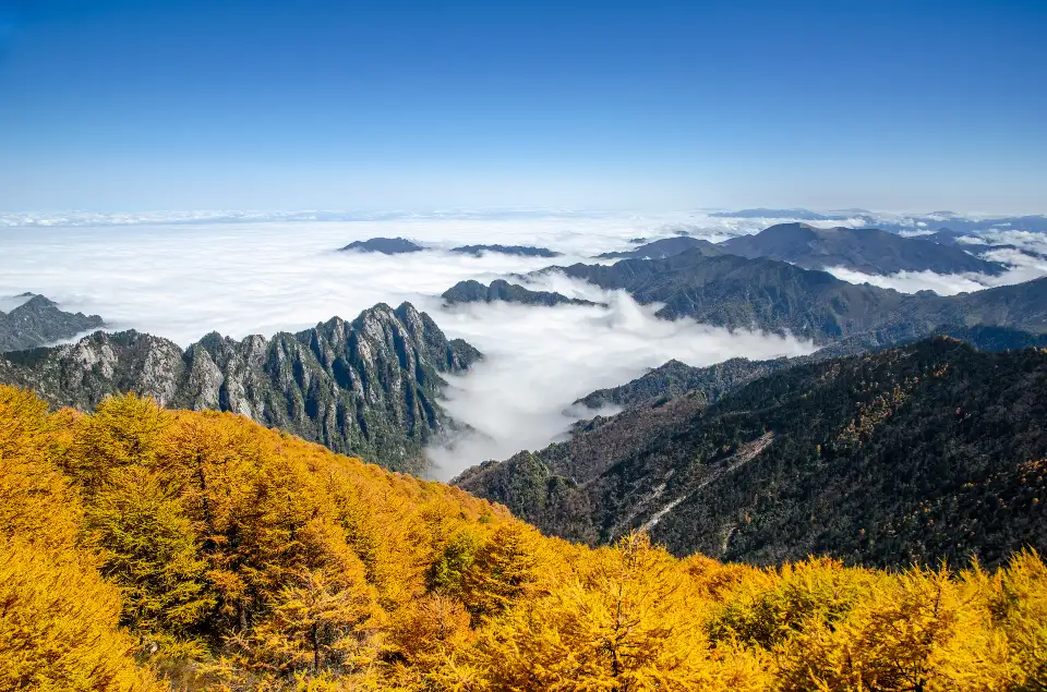 2_The Mount Taibai National Forest Park