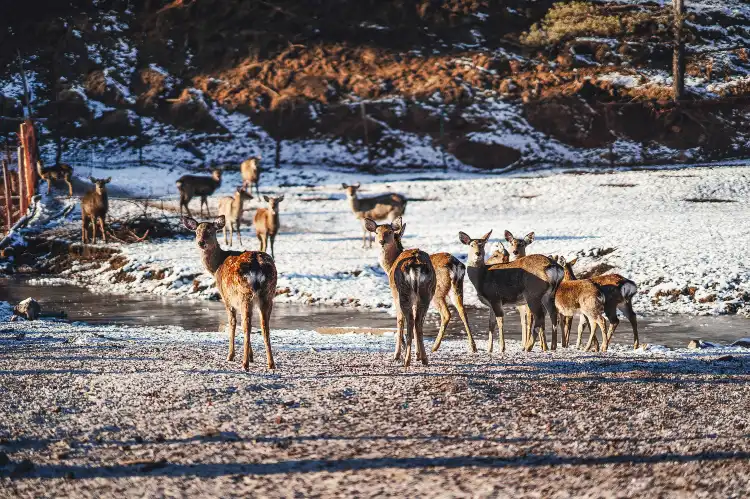 Hôtels à proximité de : Jinshan Deer Park