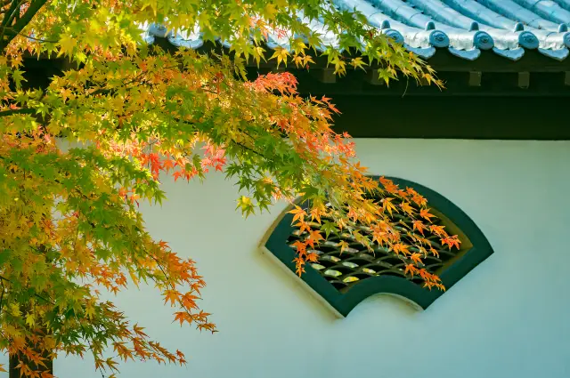 Fall Leaves Viewing in Linyi