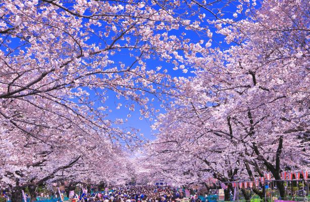 Ueno Park