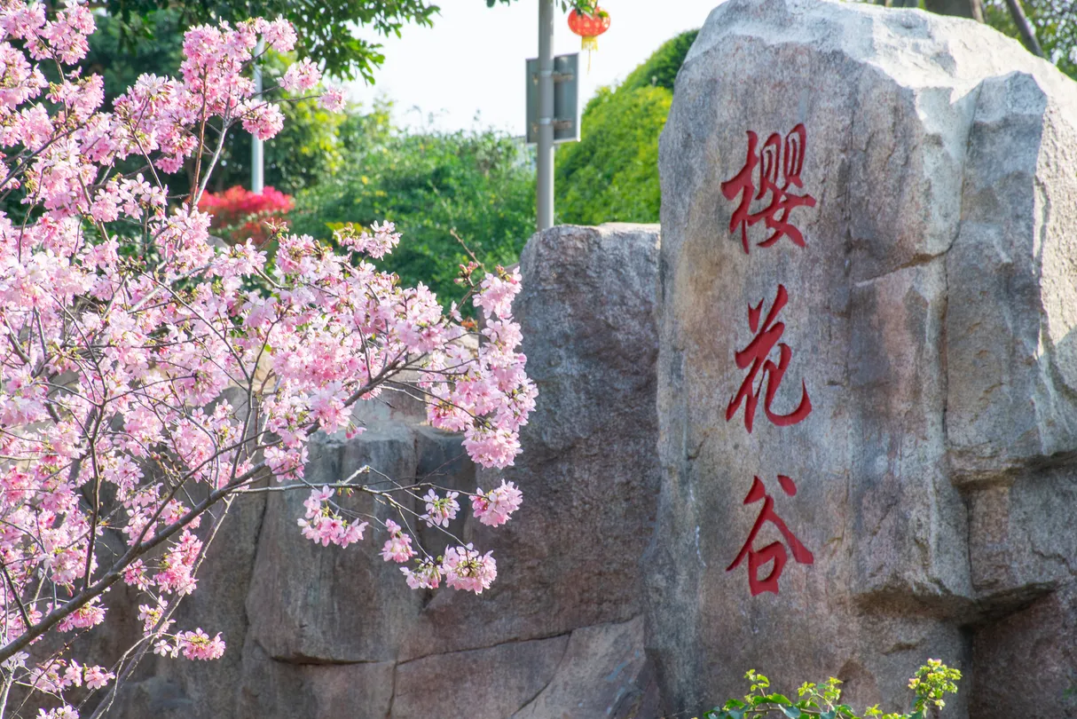 2_สวนภูเขาฮุวุจิ