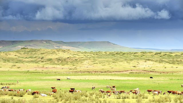 Baiyin Xilei Pasture Scenic Area