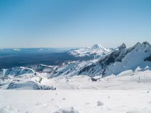 Whakapapa