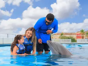 Cabo Dolphins San José del Cabo
