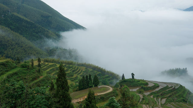 Qixingdun Viewing Platform