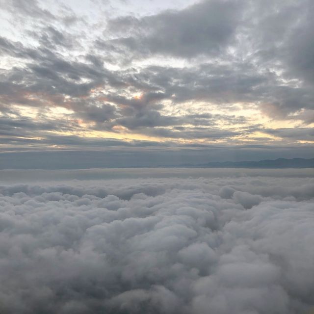 오키나와 나하공항 특산물 라멘