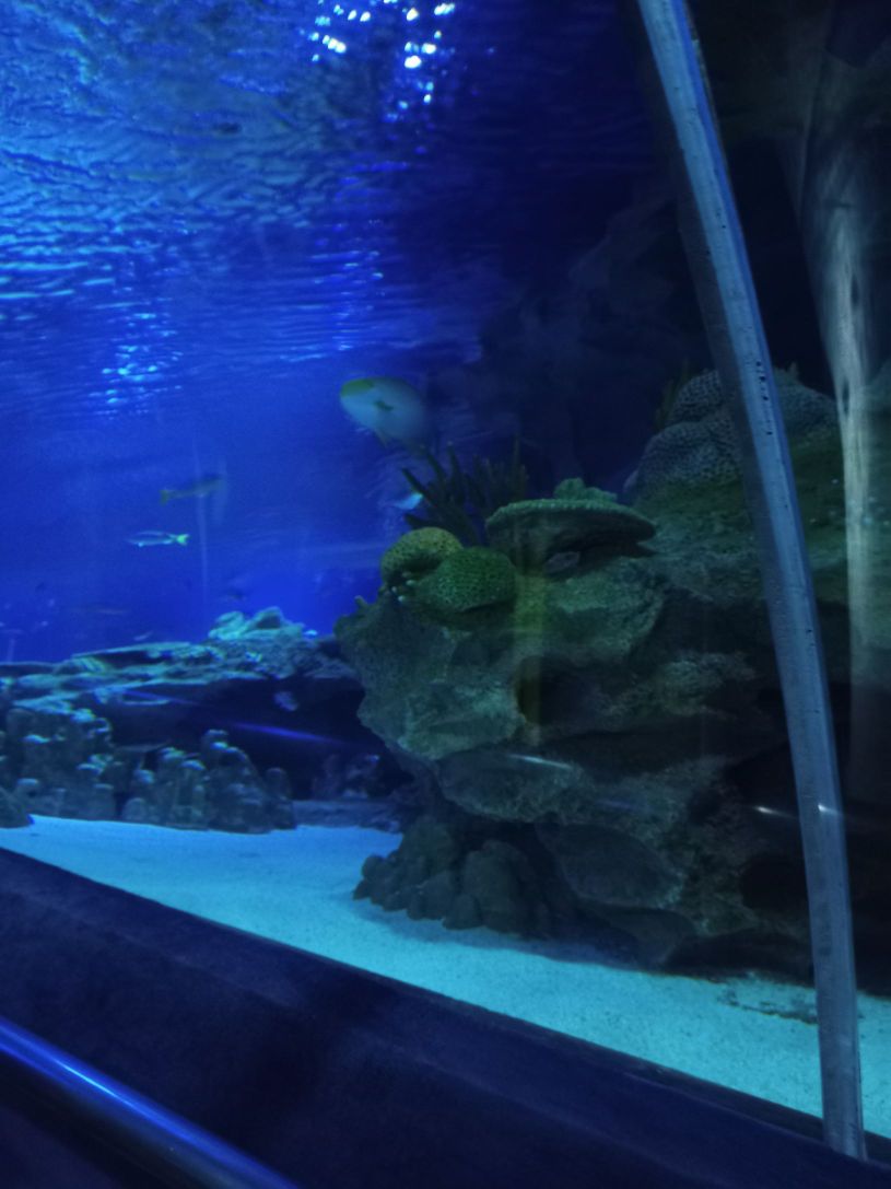 Aquaria KLCC travel guidebook u2013must visit attractions in Kuala